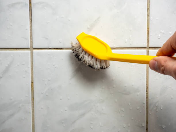 Best Local Mold Removal Service  in Town And Country, MO